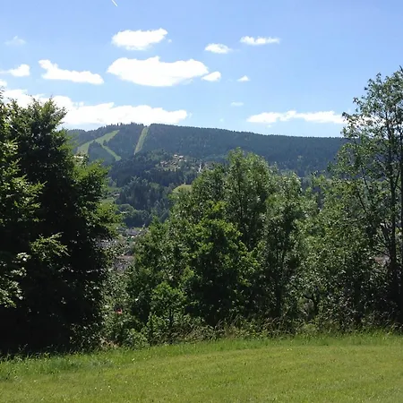 Les Dryades B2 Vue Sur La Vallee * Gerardmer